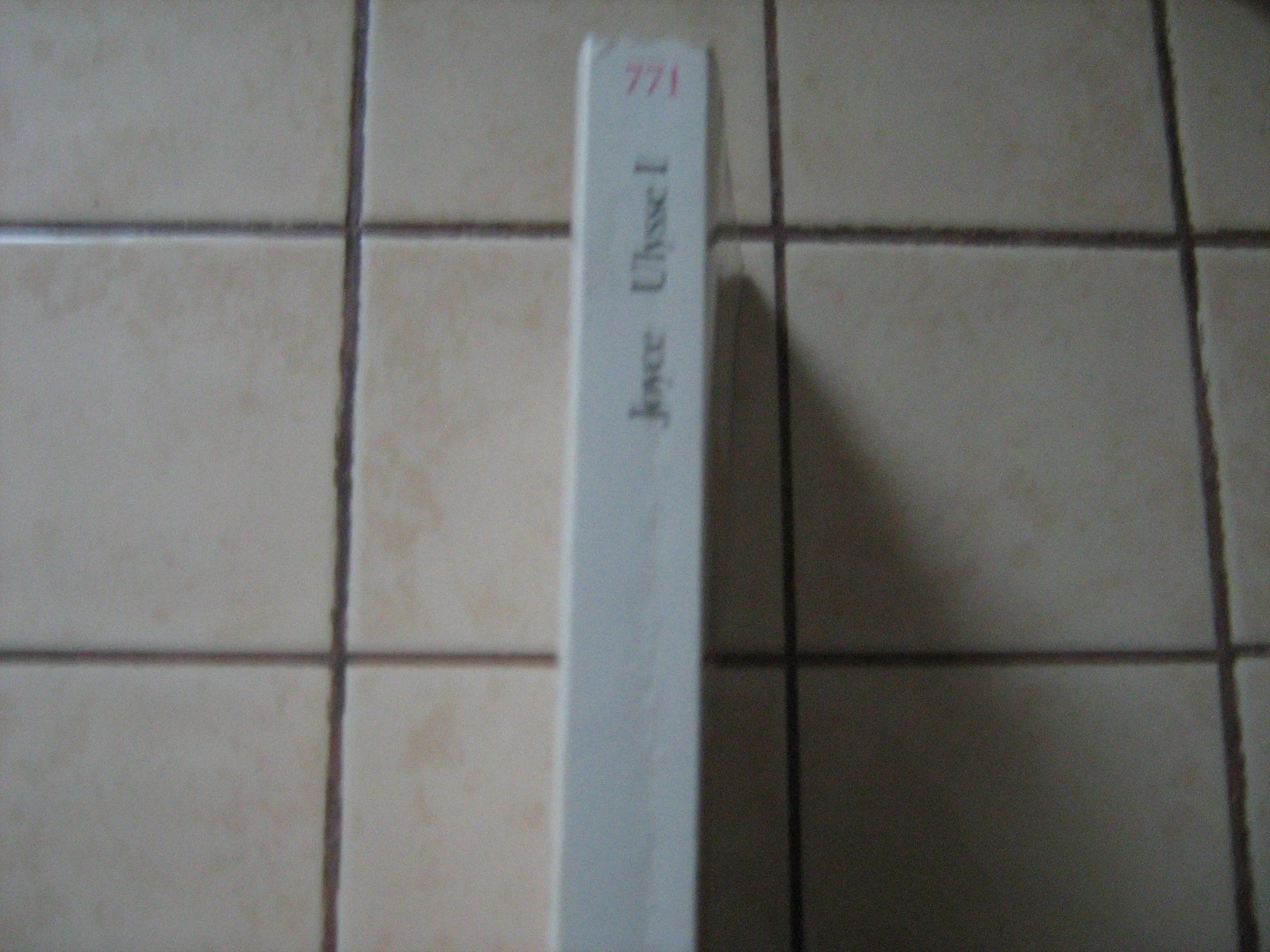 Ulysse tome 1 – photo 2